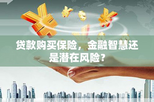 造桥贷款购买保险，金融智慧还是潜在风险？