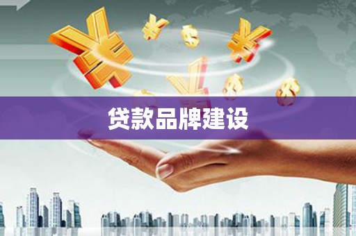 造桥贷款品牌建设