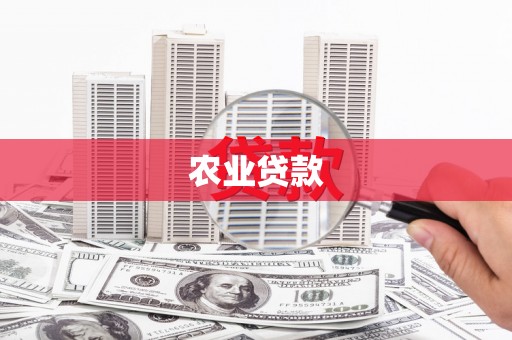 造桥农业贷款