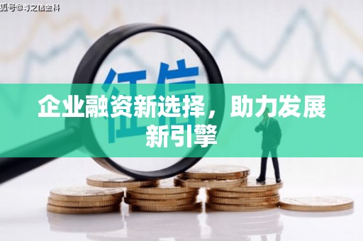 造桥企业融资新选择，助力发展新引擎
