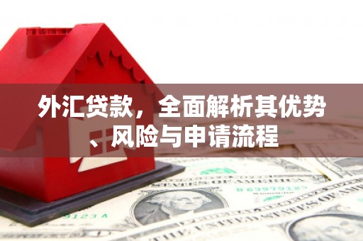 造桥外汇贷款，全面解析其优势、风险与申请流程