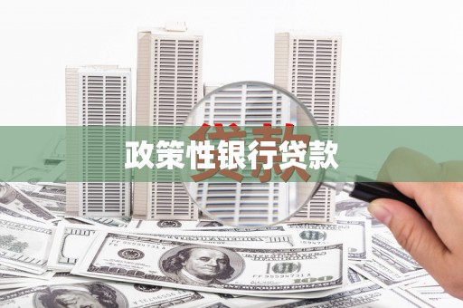 造桥政策性银行贷款