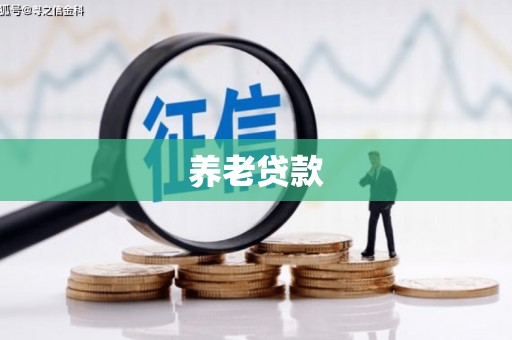 造桥养老贷款