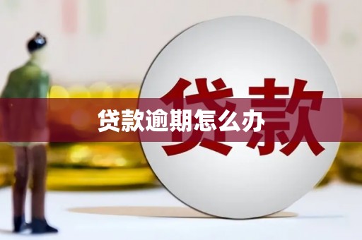 造桥贷款逾期怎么办