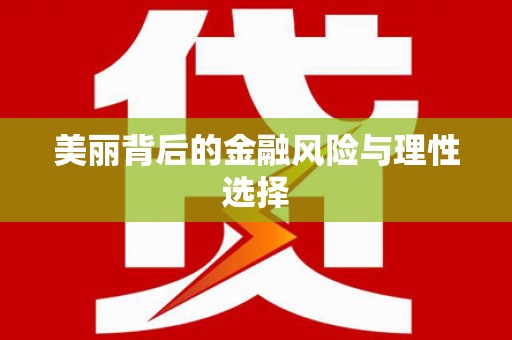 造桥美丽背后的金融风险与理性选择