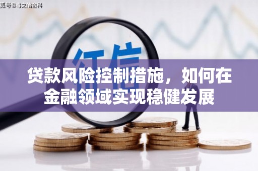 造桥贷款风险控制措施，如何在金融领域实现稳健发展