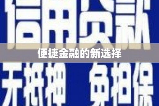 造桥便捷金融的新选择