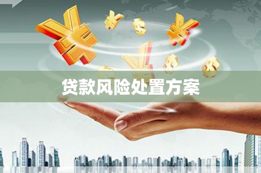 造桥贷款风险处置方案