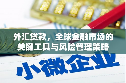 造桥外汇贷款，全球金融市场的关键工具与风险管理策略