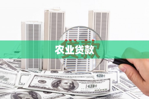造桥农业贷款