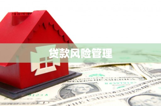 造桥贷款风险管理