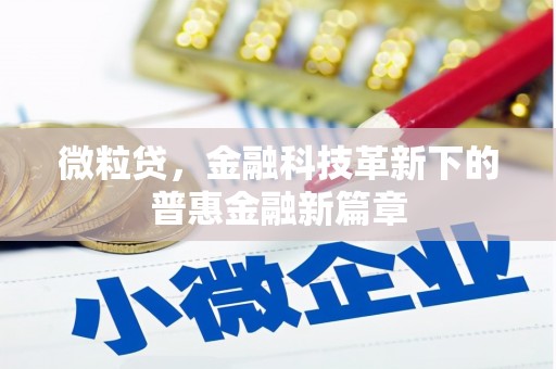 造桥微粒贷，金融科技革新下的普惠金融新篇章