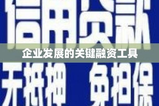造桥企业发展的关键融资工具