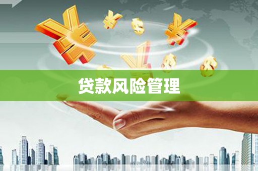造桥贷款风险管理