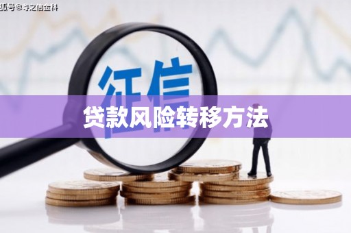 造桥贷款风险转移方法