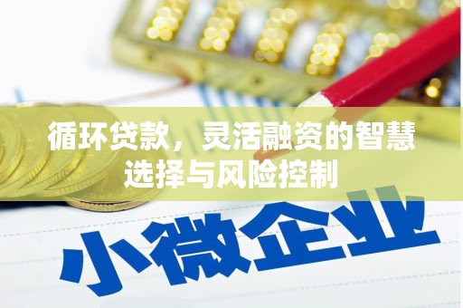 造桥循环贷款，灵活融资的智慧选择与风险控制