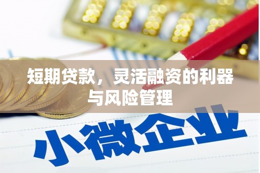 造桥短期贷款，灵活融资的利器与风险管理