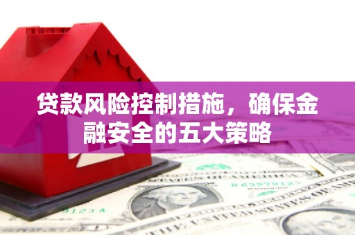 造桥贷款风险控制措施，确保金融安全的五大策略