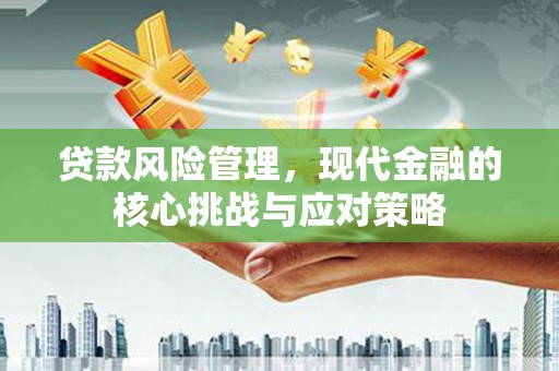 造桥贷款风险管理，现代金融的核心挑战与应对策略
