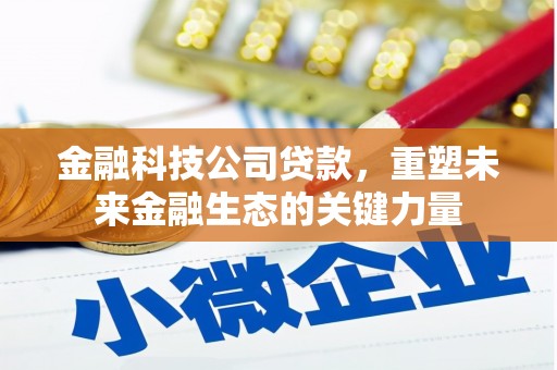 造桥金融科技公司贷款，重塑未来金融生态的关键力量