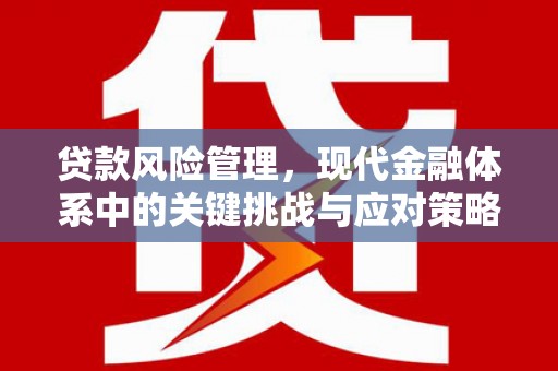 造桥贷款风险管理，现代金融体系中的关键挑战与应对策略