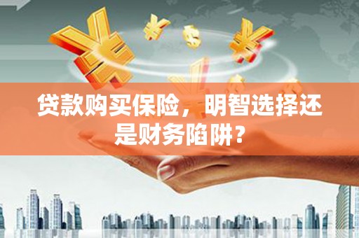 造桥贷款购买保险，明智选择还是财务陷阱？