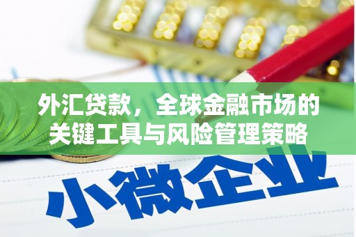 造桥外汇贷款，全球金融市场的关键工具与风险管理策略