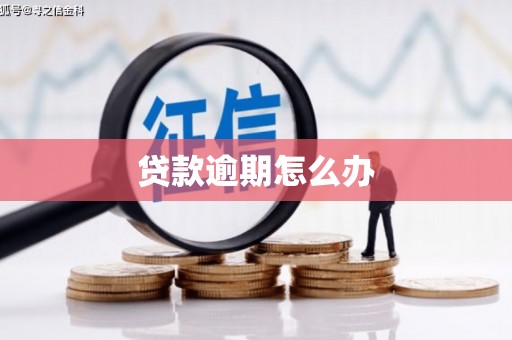 造桥贷款逾期怎么办