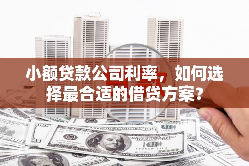 造桥小额贷款公司利率，如何选择最合适的借贷方案？