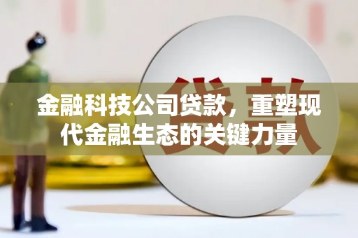 造桥金融科技公司贷款，重塑现代金融生态的关键力量