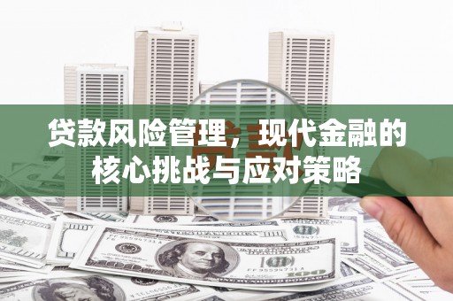 造桥贷款风险管理，现代金融的核心挑战与应对策略