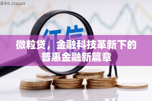 造桥微粒贷，金融科技革新下的普惠金融新篇章