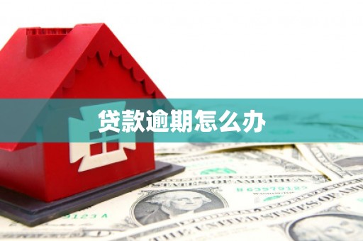 造桥贷款逾期怎么办