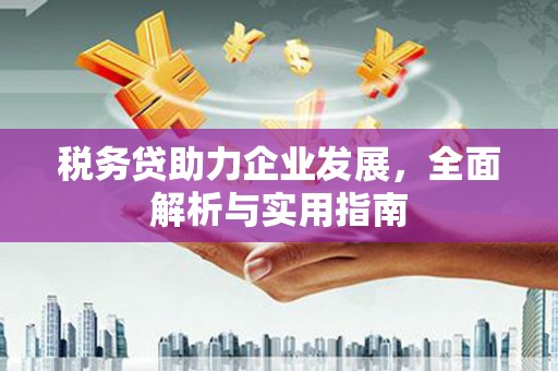 造桥税务贷助力企业发展，全面解析与实用指南