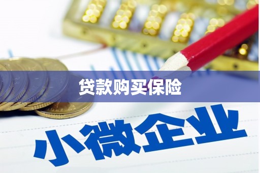 造桥贷款购买保险