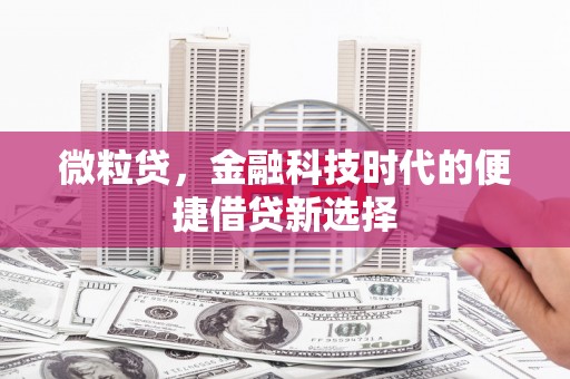 造桥微粒贷，金融科技时代的便捷借贷新选择