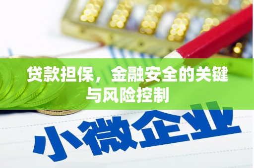 造桥贷款担保，金融安全的关键与风险控制