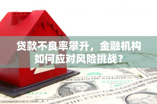 造桥贷款不良率攀升，金融机构如何应对风险挑战？
