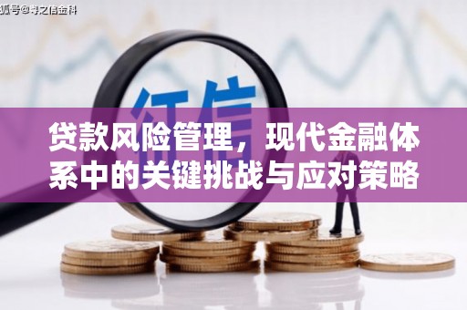 造桥贷款风险管理，现代金融体系中的关键挑战与应对策略