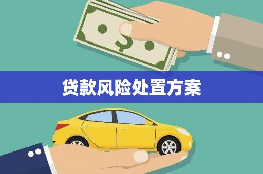 造桥贷款风险处置方案
