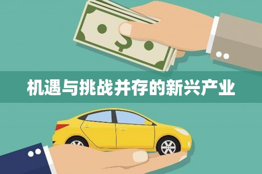 造桥机遇与挑战并存的新兴产业
