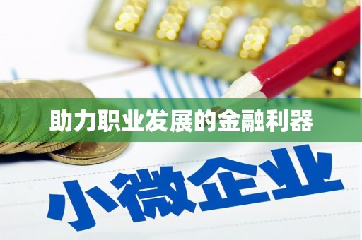造桥助力职业发展的金融利器