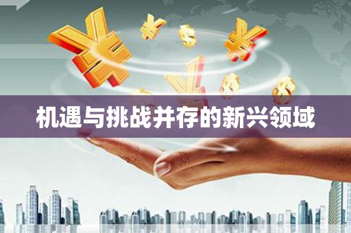 造桥机遇与挑战并存的新兴领域