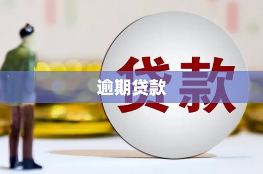 造桥逾期贷款