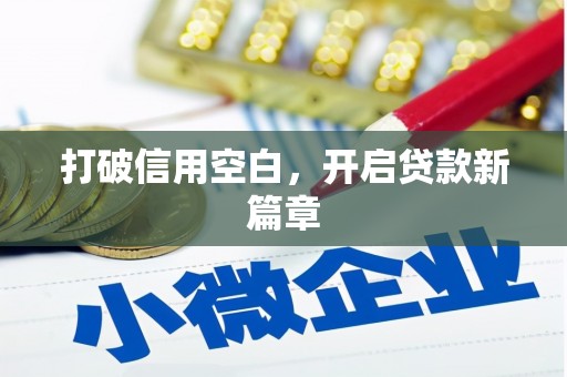 造桥打破信用空白，开启贷款新篇章