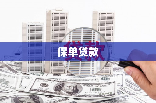 造桥保单贷款